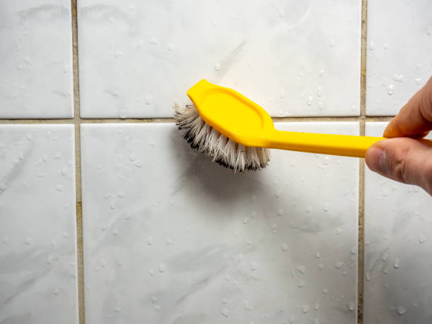 Best Affordable Mold Removal  in Chardon, OH