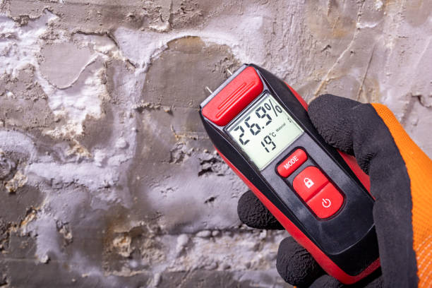 Best Certified Mold Removal  in Chardon, OH