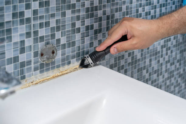Best Home Mold Removal  in Chardon, OH